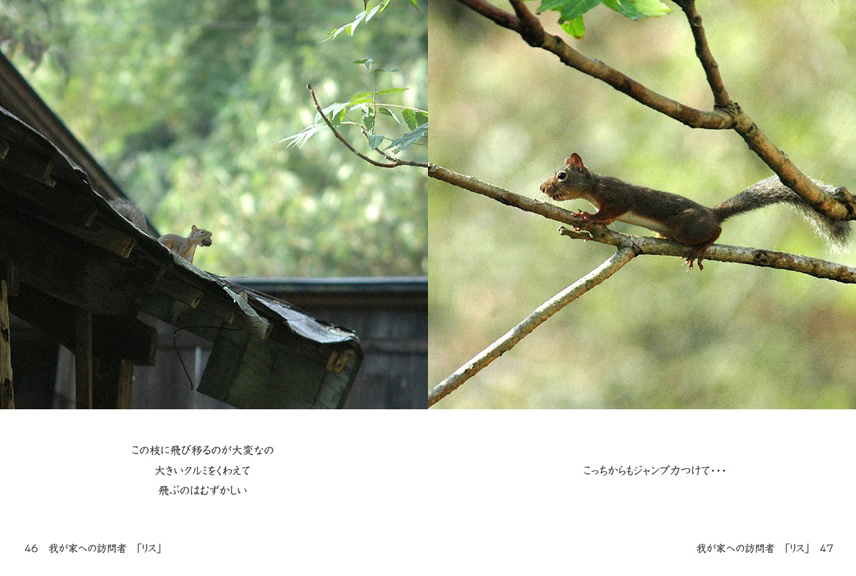 フォトブック 46ページ目