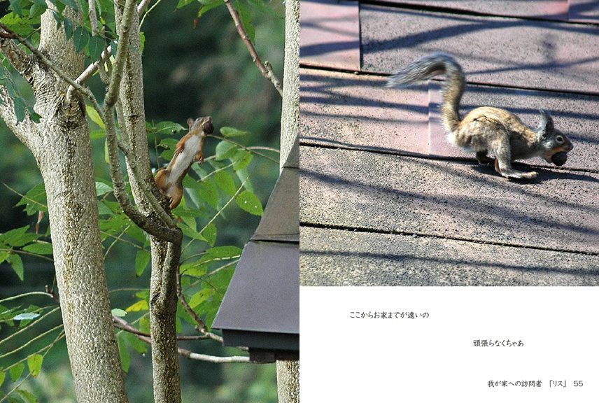 フォトブック 54ページ目