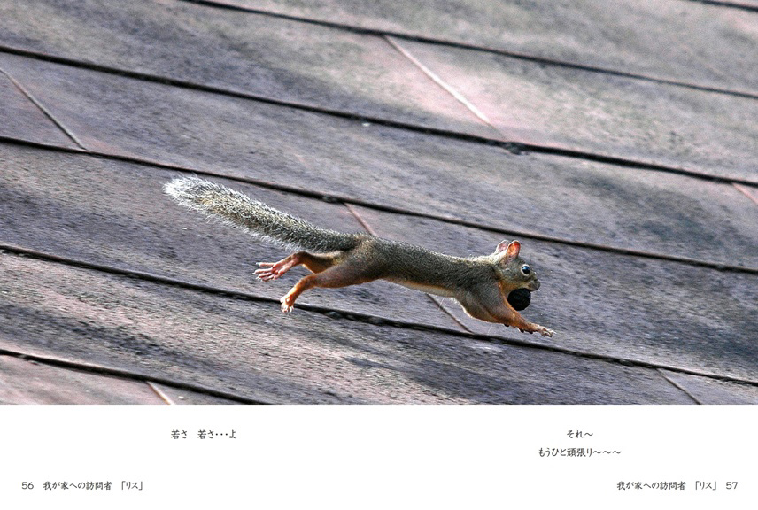 フォトブック 56ページ目