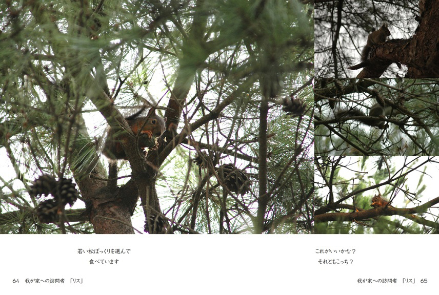 フォトブック 64ページ目