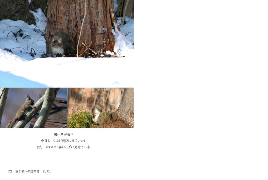 フォトブック 70ページ目