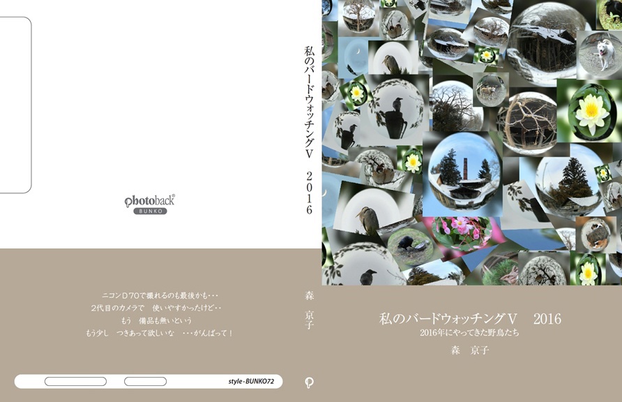 フォトブック ジャケット