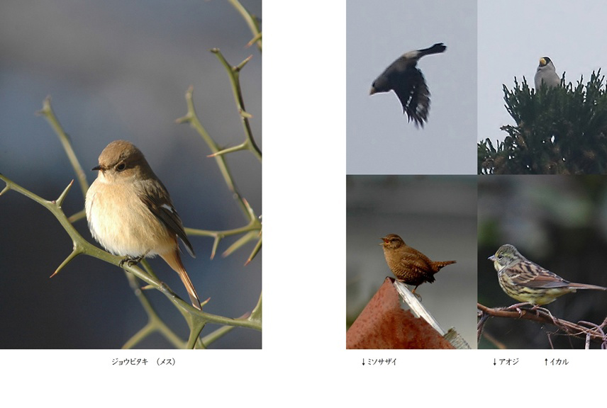 フォトブック 10ページ目