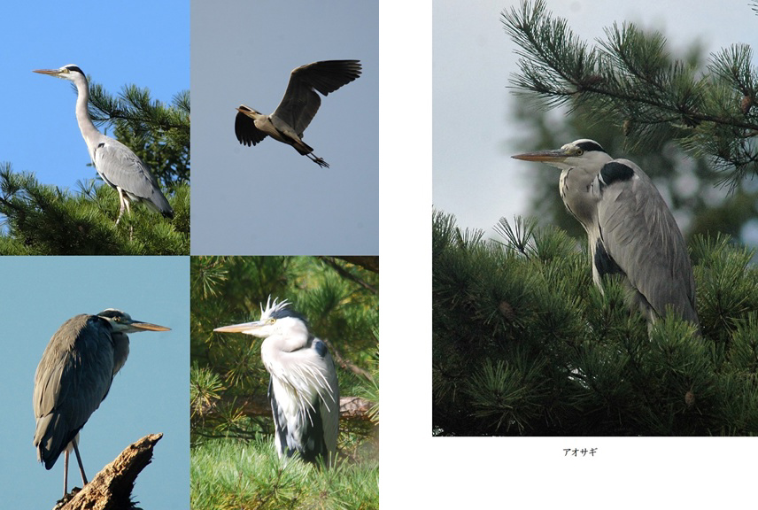 フォトブック 12ページ目