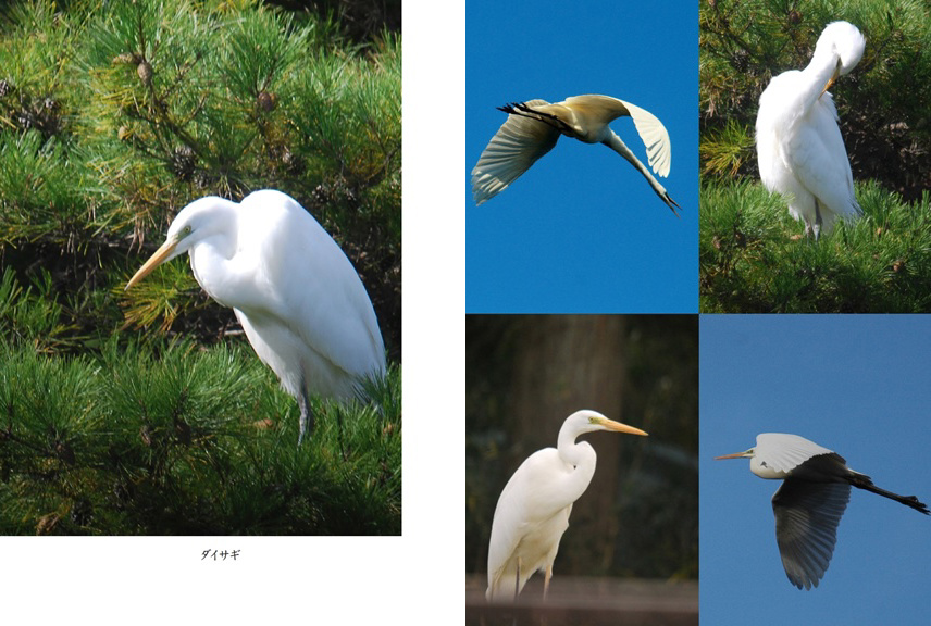 フォトブック 14ページ目