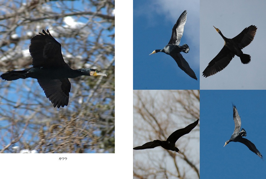 フォトブック 16ページ目