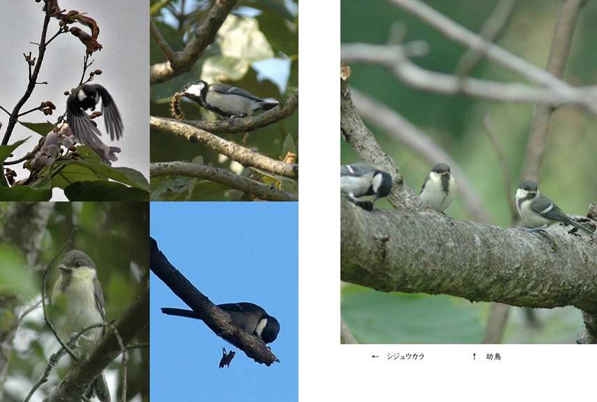 フォトブック 18ページ目