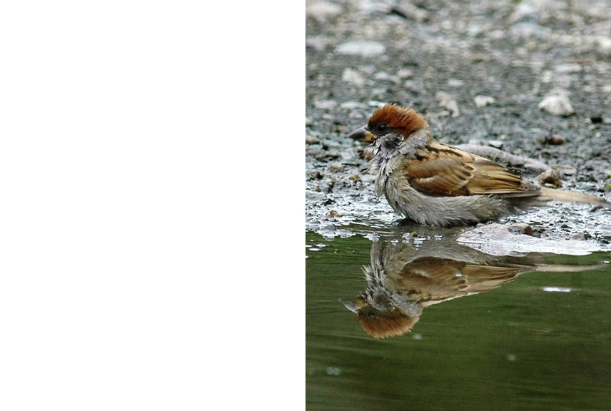 フォトブック 2ページ目