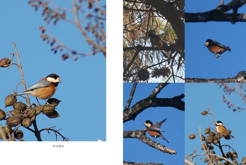 フォトブック 20ページ目