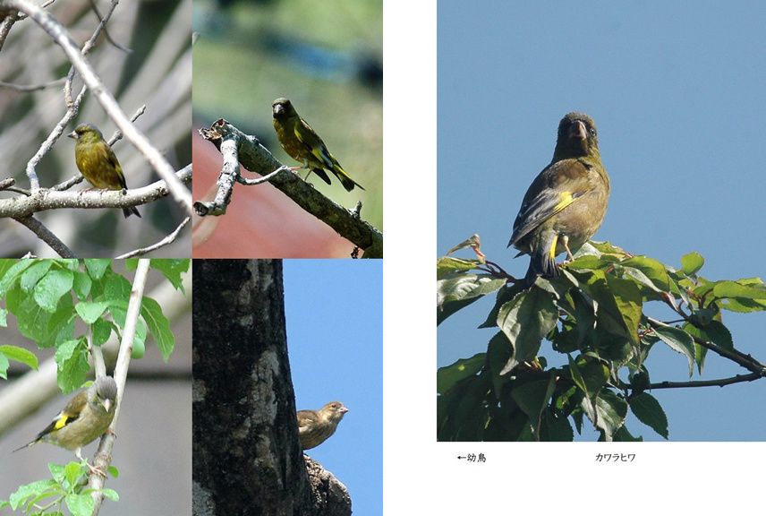 フォトブック 22ページ目