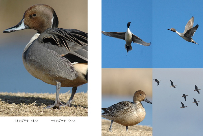 フォトブック 26ページ目