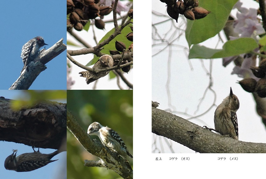 フォトブック 28ページ目