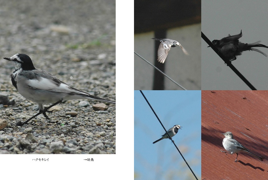 フォトブック 30ページ目