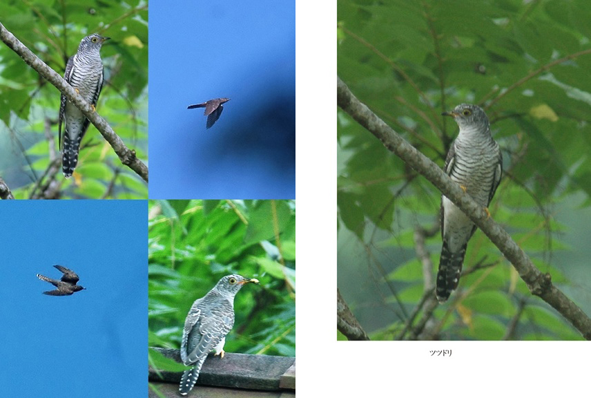 フォトブック 32ページ目