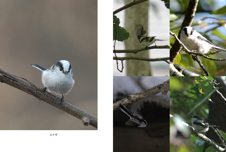 フォトブック 34ページ目