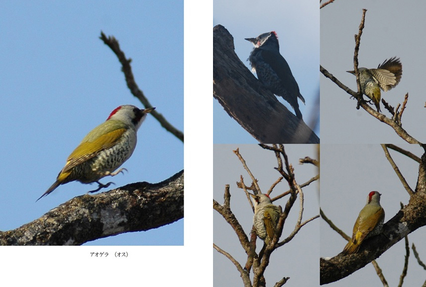 フォトブック 4ページ目