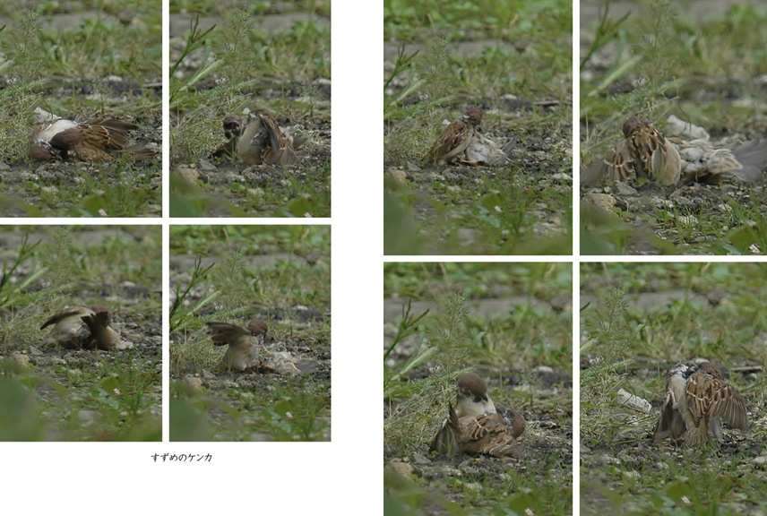 フォトブック 40ページ目