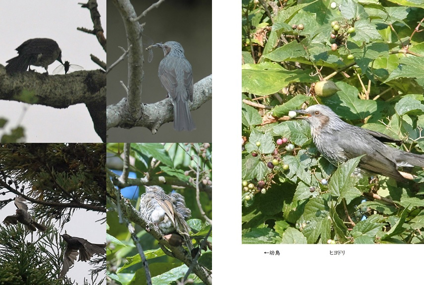 フォトブック 42ページ目