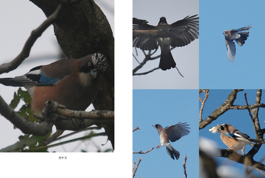 フォトブック 44ページ目