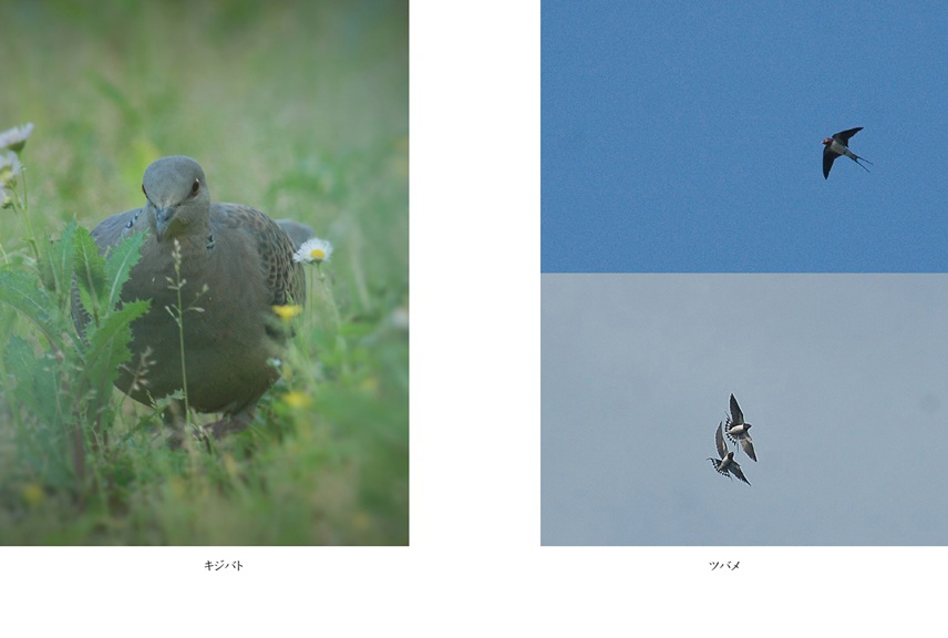 フォトブック 52ページ目