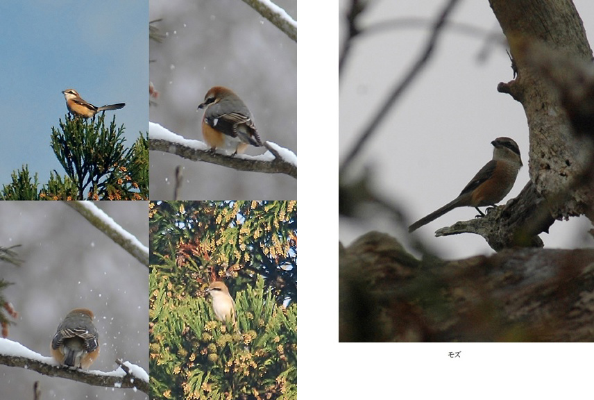 フォトブック 58ページ目