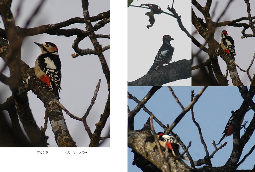 フォトブック 6ページ目