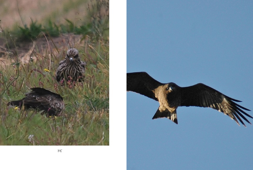 フォトブック 62ページ目