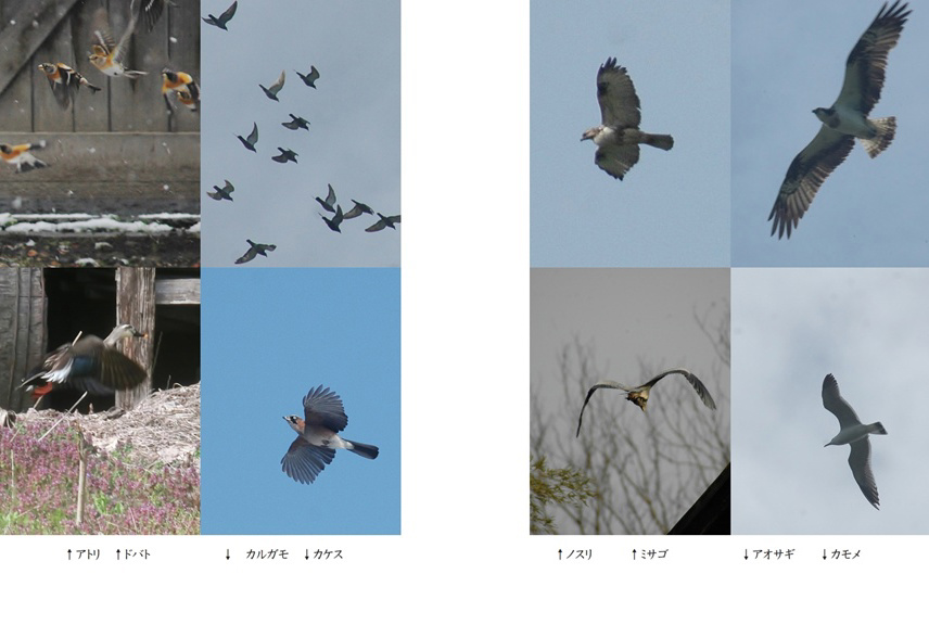 フォトブック 64ページ目