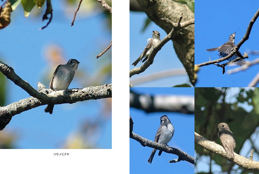 フォトブック 68ページ目