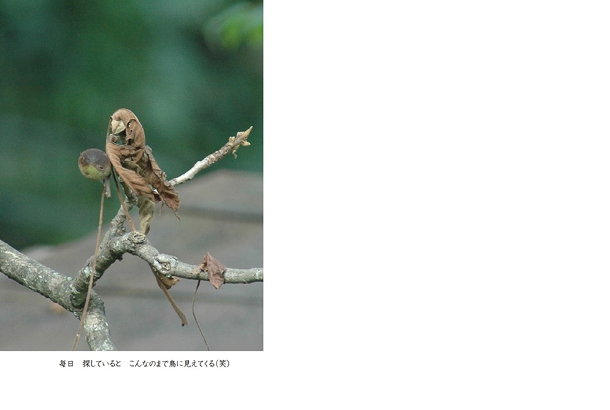 フォトブック 70ページ目