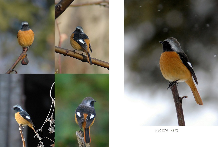 フォトブック 8ページ目