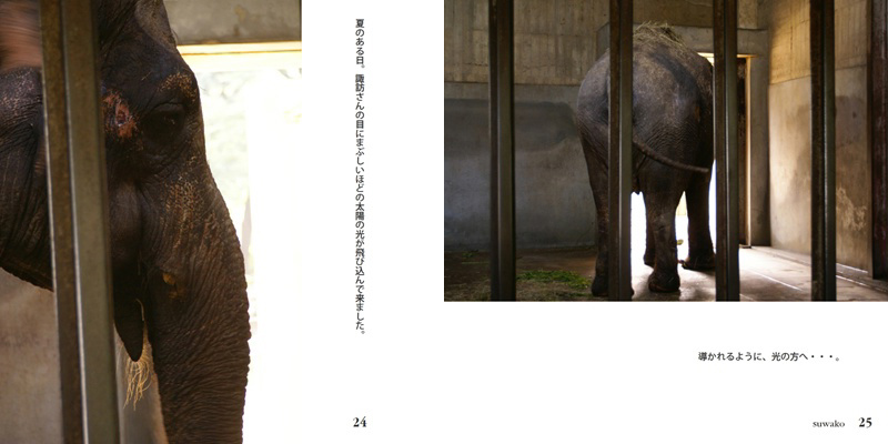 フォトブック 24ページ目
