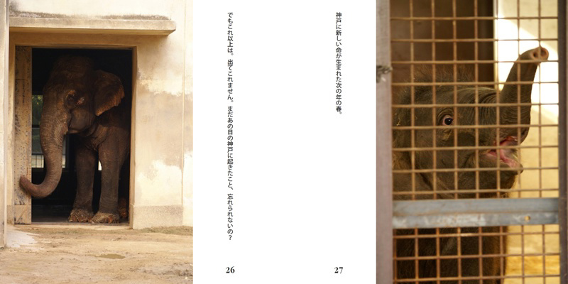 フォトブック 26ページ目
