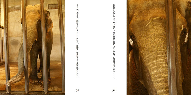フォトブック 30ページ目