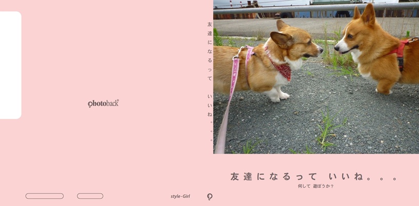 フォトブック ジャケット