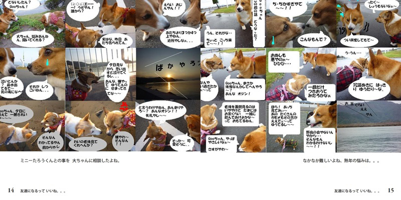 フォトブック 14ページ目