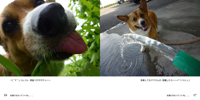 フォトブック 16ページ目