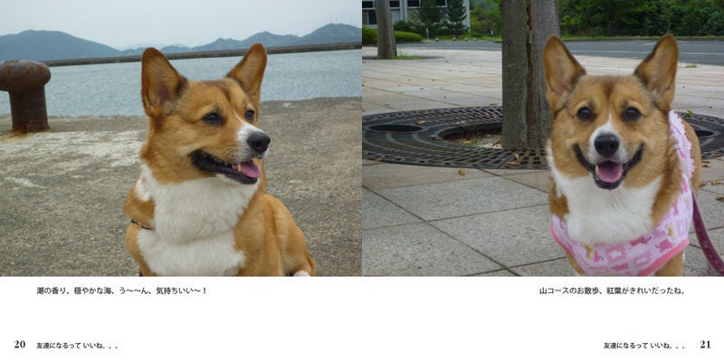 フォトブック 20ページ目