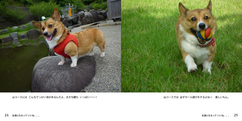 フォトブック 24ページ目