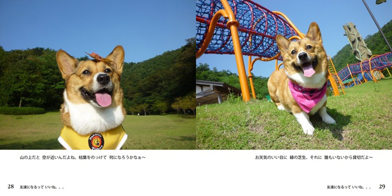 フォトブック 28ページ目