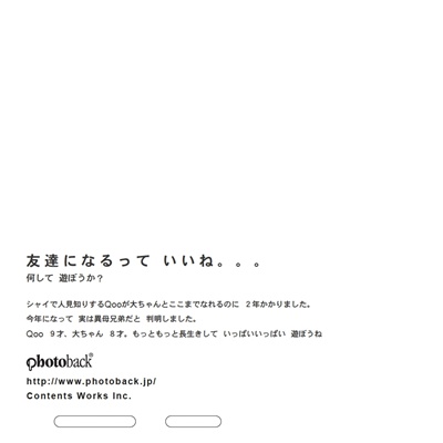 フォトブック ジャケット裏