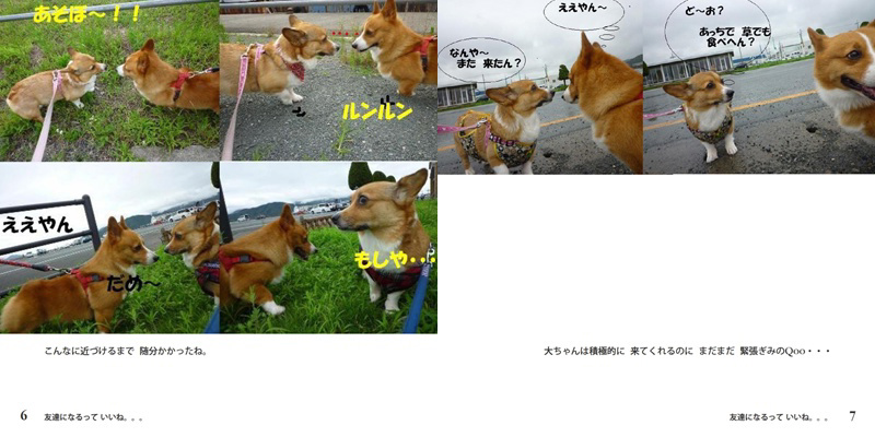 フォトブック 6ページ目