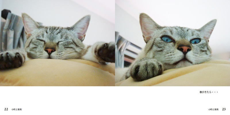 フォトブック 22ページ目