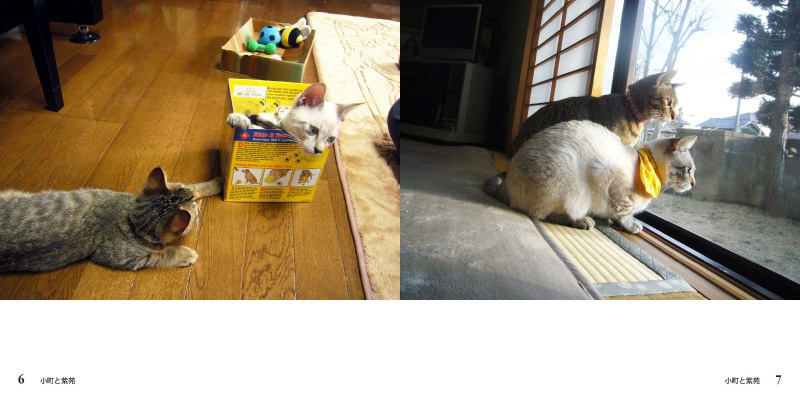 フォトブック 6ページ目