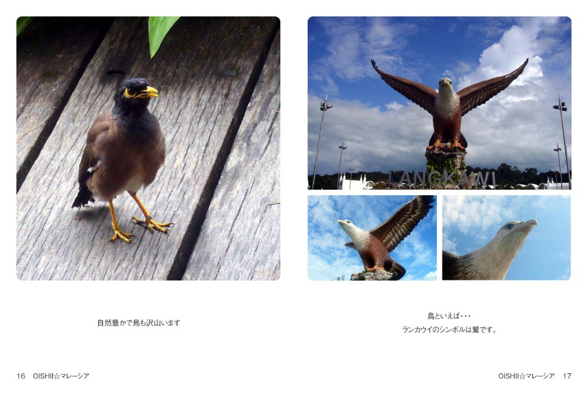フォトブック 16ページ目