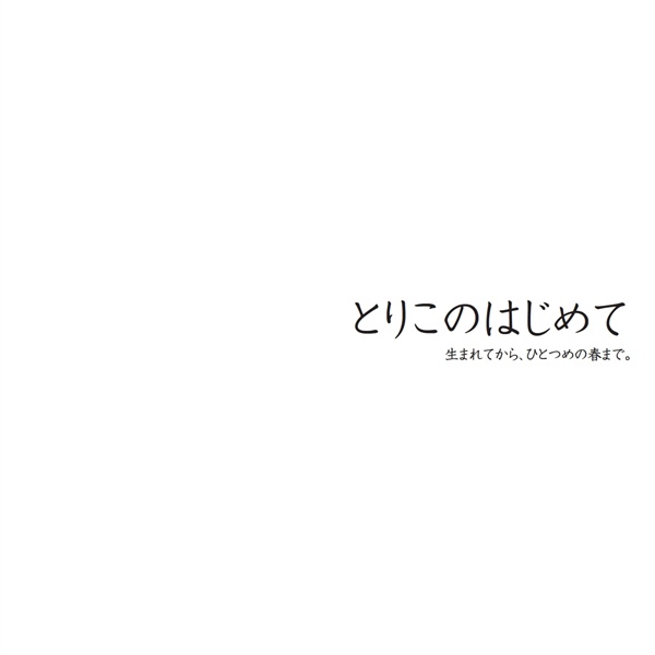 フォトブック 扉