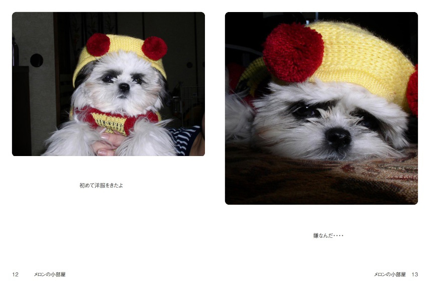 フォトブック 12ページ目