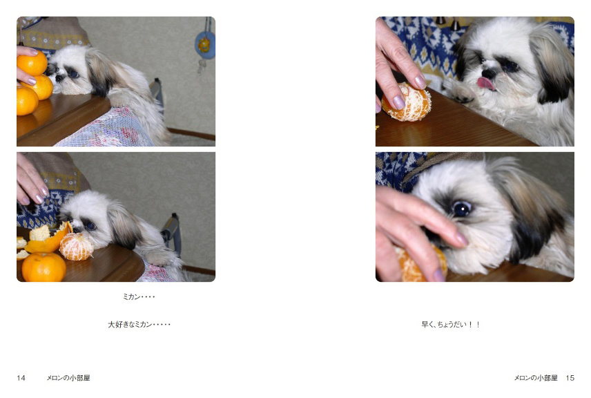 フォトブック 14ページ目
