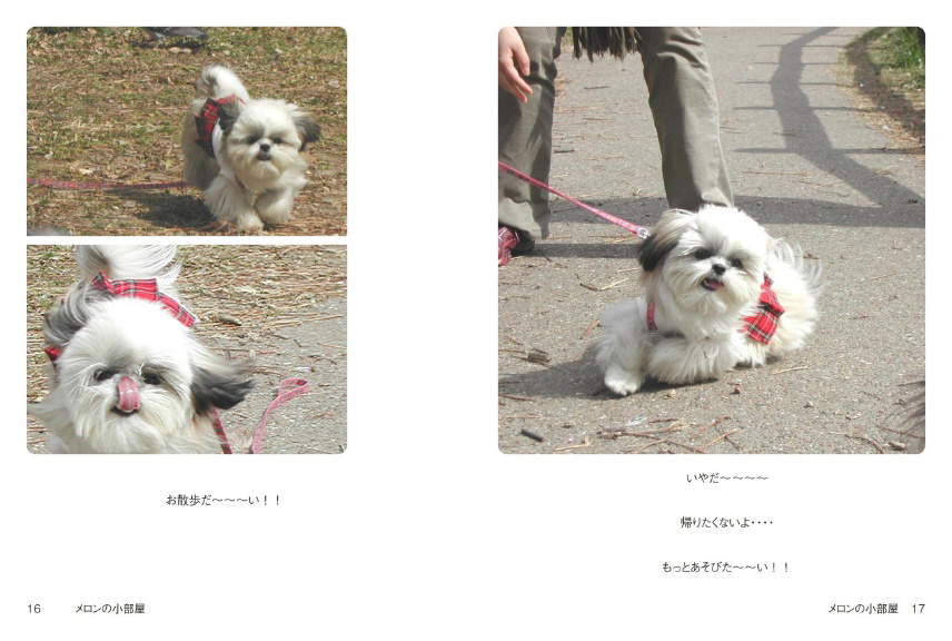 フォトブック 16ページ目
