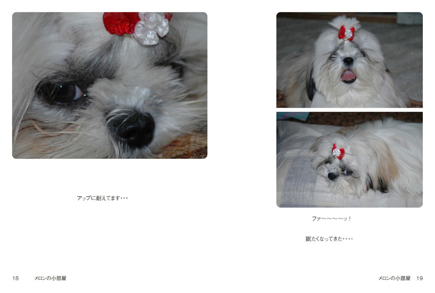 フォトブック 18ページ目
